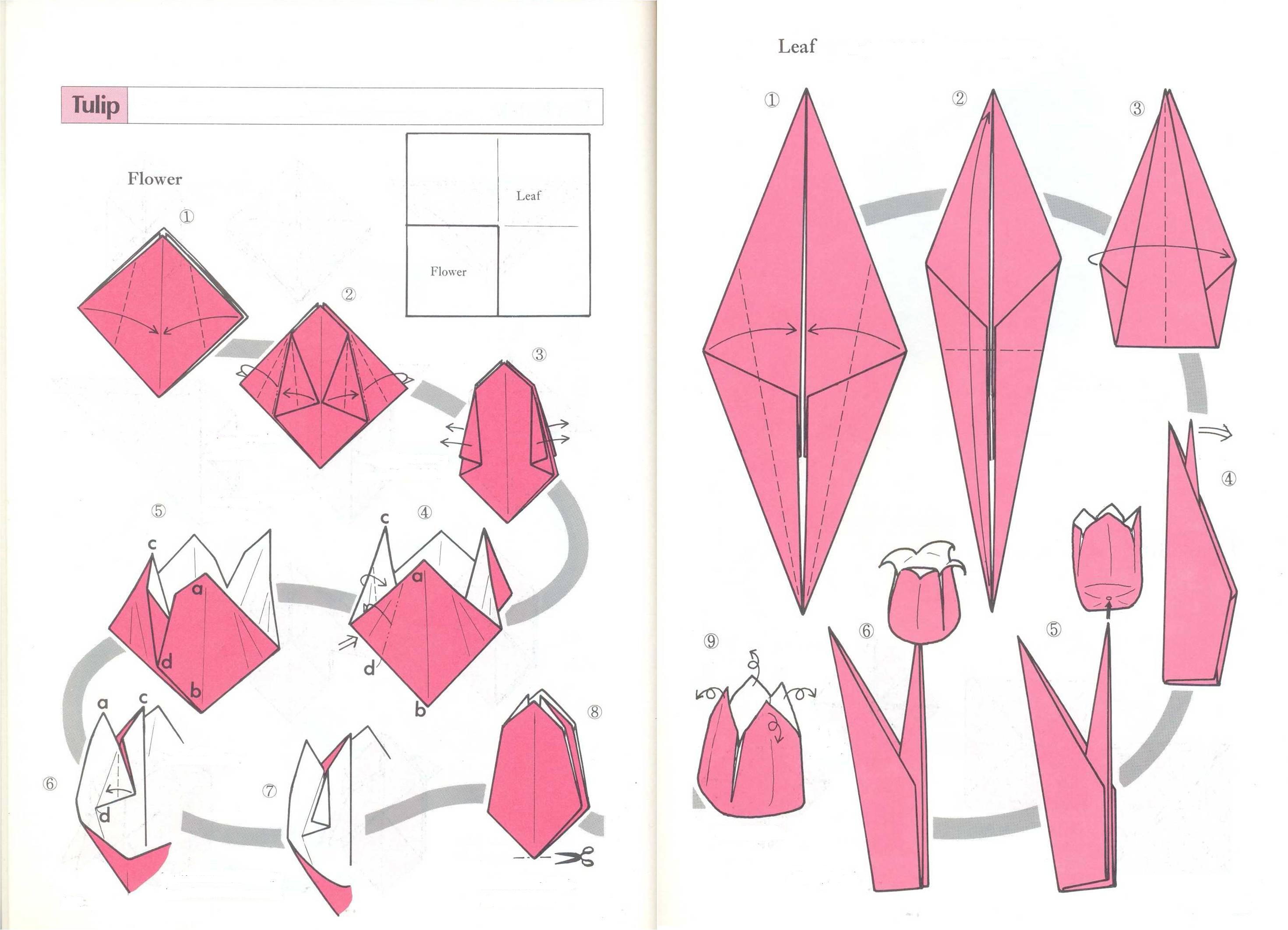 Тюльпаны из бумаги легкие для детей. Оригами тюльпан из бумаги пошаговой инструкции для детей. Тюльпан оригами из бумаги своими руками схемы поэтапно. Оригами из бумаги цветы тюльпан схема. Тюльпан из бумаги оригами пошагово для детей.